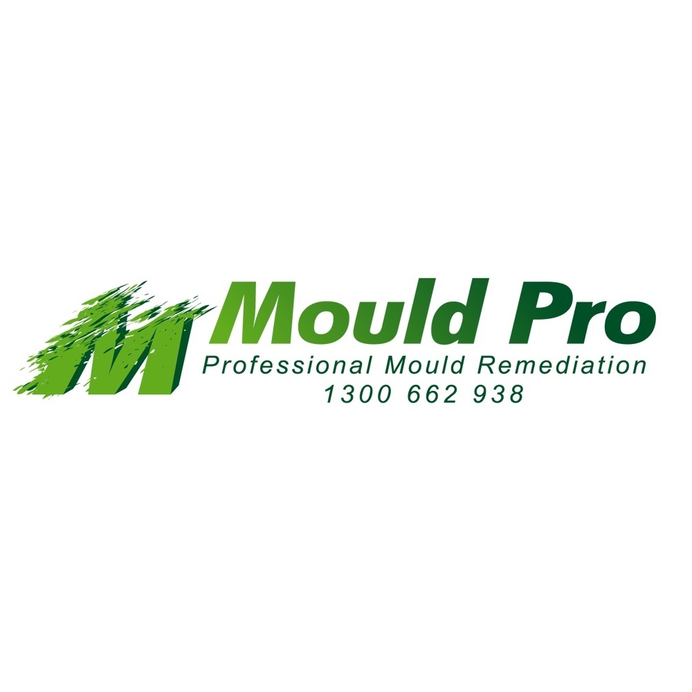 Mould Pro